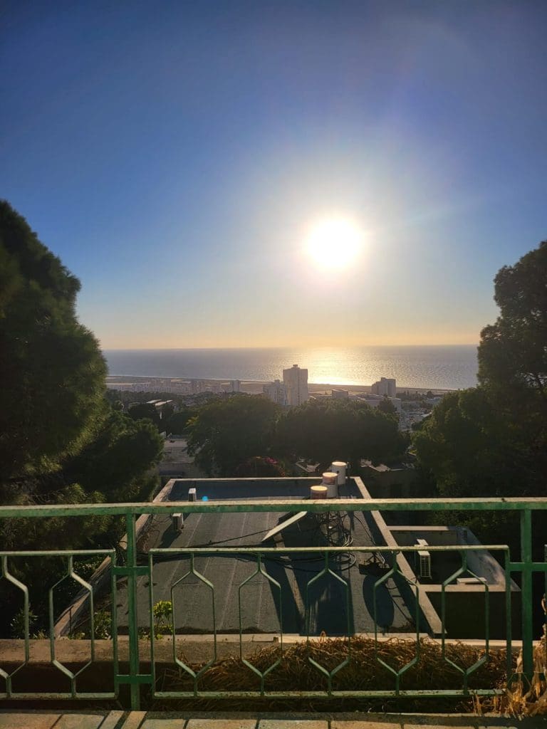 310f820d-59ad-4bb7-b9d6-70014361f172