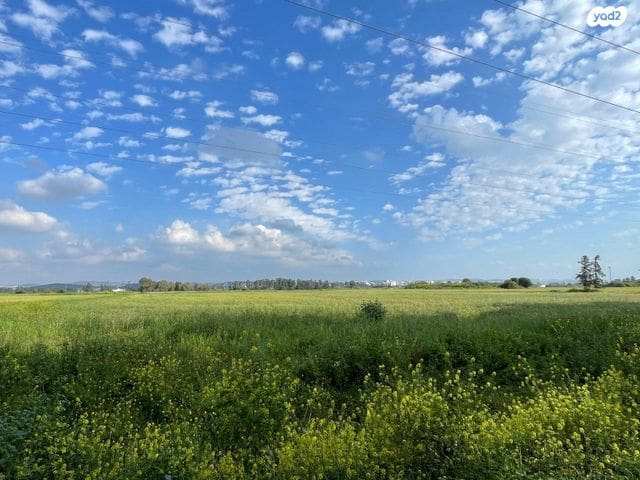 510201687_122214574208257153_3200216419819112880_n